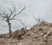 v\BT拍?瑲@祀=???滩P??+觕!Y嫀擉?慗S"㏕x}旨x奷肁帒H0_襋需/垩7詈狐瑔-九游娱乐APP